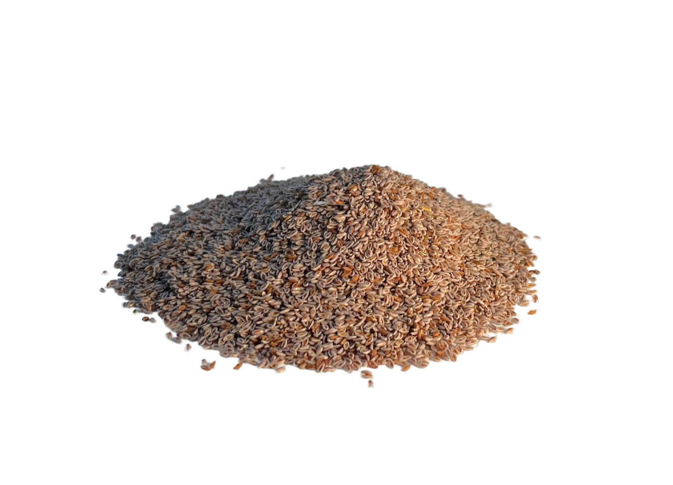 Semillas de psyllium